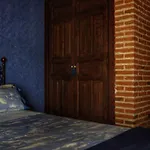 Puerta Grande 3* カンデラリオ